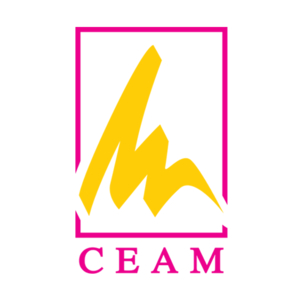 image INSTITUTO DE EDUCACION SUPERIOR PRIVADO- IESP CEAM