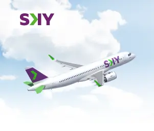 image SKY